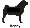 BENNY