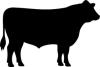 Beef