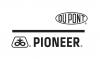 Pioneer Logo