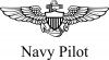 U.S. Navy Pilot