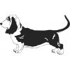 Basset Hound