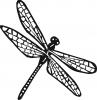 Custom Dragonfly